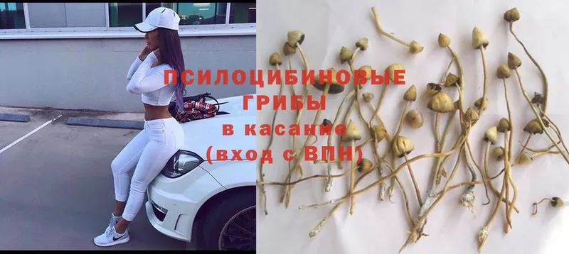 нарко площадка клад  Новомосковск  Галлюциногенные грибы MAGIC MUSHROOMS  где купить наркоту 